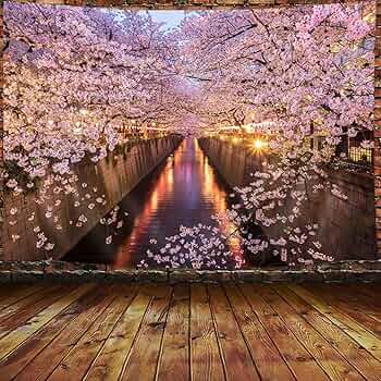 五条川の桜 花材 桜 銀ポプラ コケ 和紙 押し花 絵額/函付 作品 送料無 五条川の桜 花材 桜 銀ポプラ コケ 和紙 押し花 絵額/函付 作品
